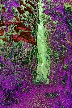 N 133E